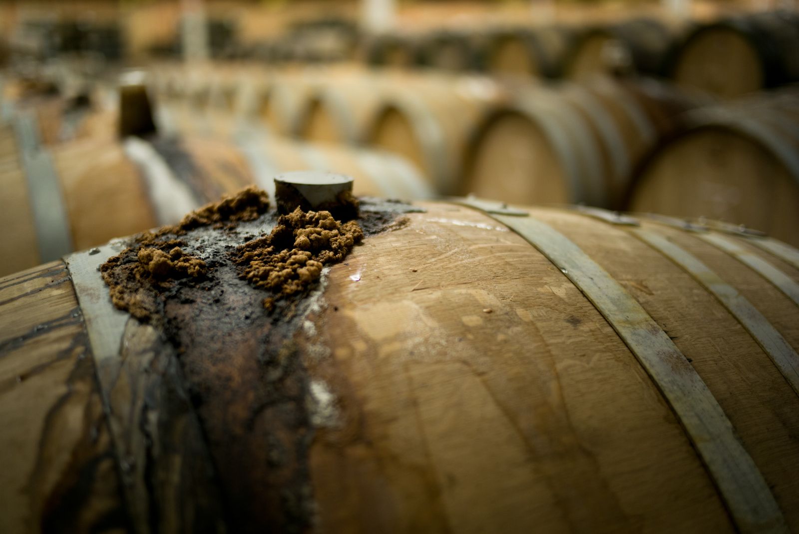 A wooden barrel after the first spontaneous fermentation, closed off from the open air.