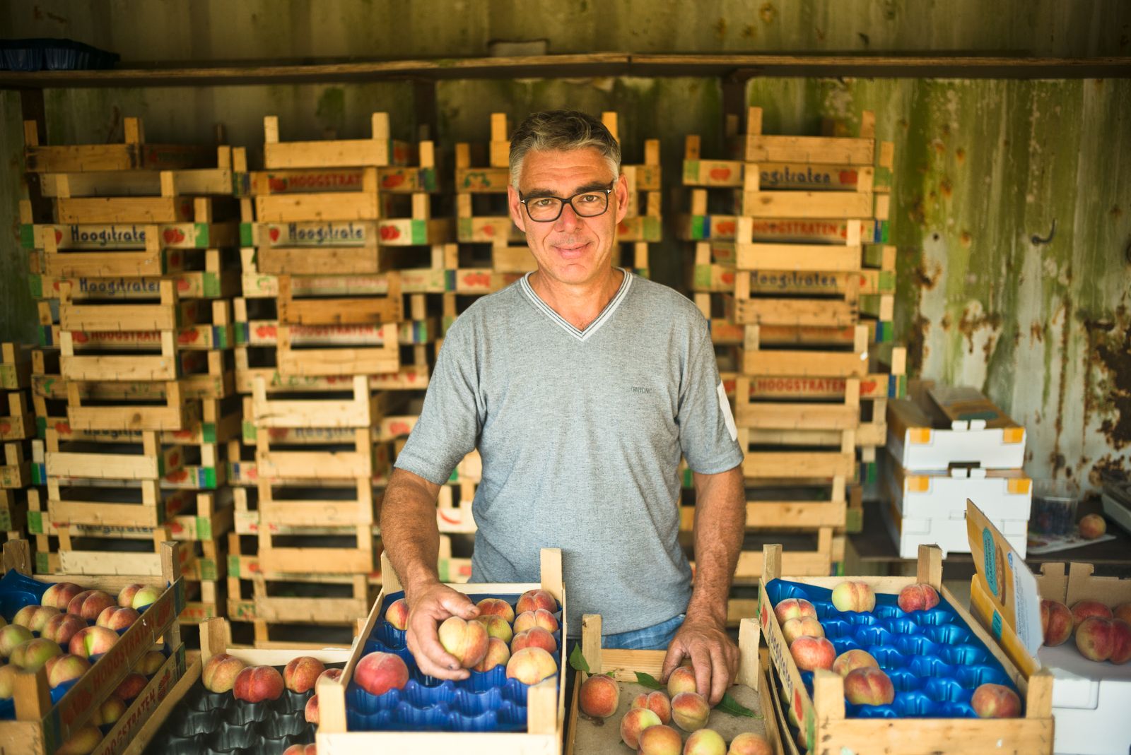 Ludo Rosseels picks peaches every morning and sells them right away in his peach stall.