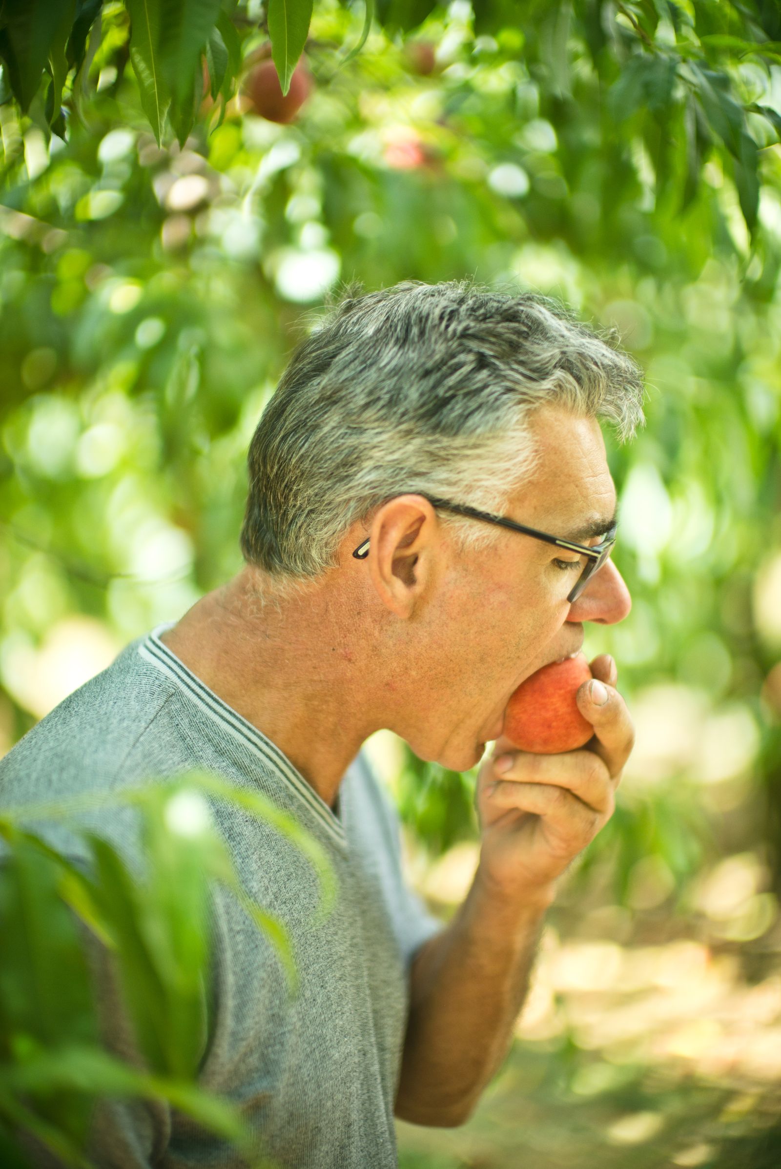 Ludo likes to eat his peaches when they are perfectly ripe, "so you have to bend over a bit when you take a bite".