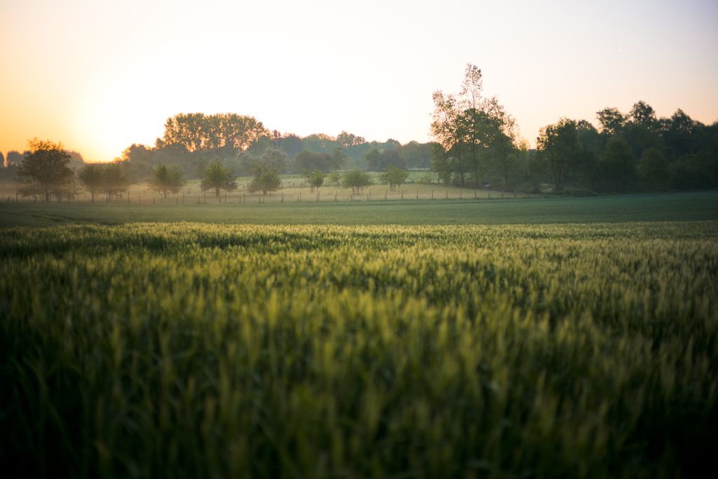 Un retour définitif à notre terroir.